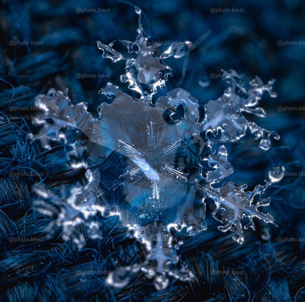 Schneeflocke #4 | Eine (von vielen) filigranen Schneeflocken in meinem ersten Makro-Schneeflocken-Winter. - Realisiert mit Pictrs.com