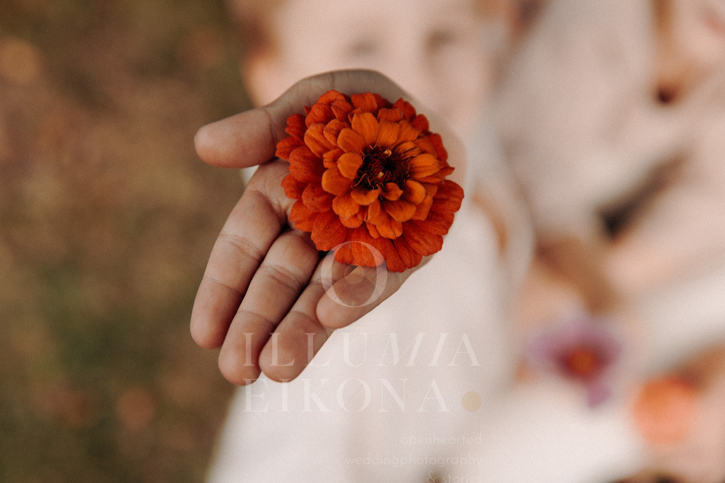 2L8A7537 | illumiaeikona.com - Realisiert mit Pictrs.com