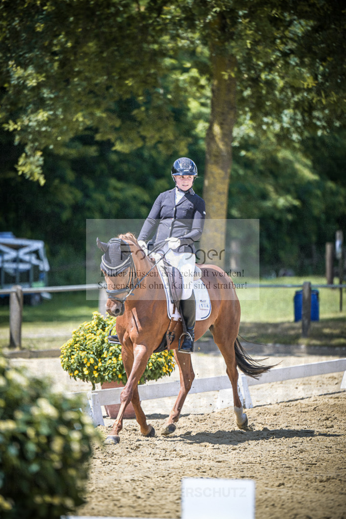 DOS_5226 | Entdecke hochwertige Reitturnierfotos von Foto Oger. Professionell, emotional und authentisch – jetzt Lieblingsmomente im Shop bestellen.Deutschlandweite Turnierfotografie. - Realisiert mit Pictrs.com