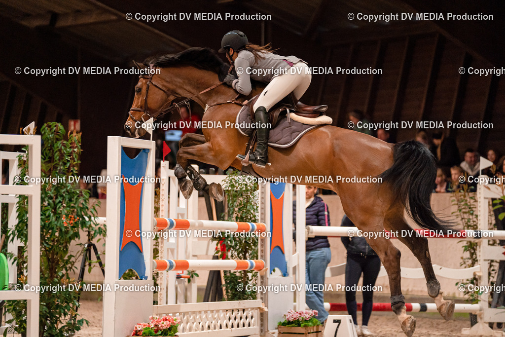 Springen Tag 2-740 | dv-media-shop - Realisiert mit Pictrs.com