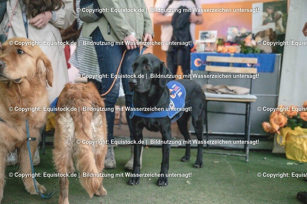 20240519_Impressionen_0252 | Foto: Thomas Hartig