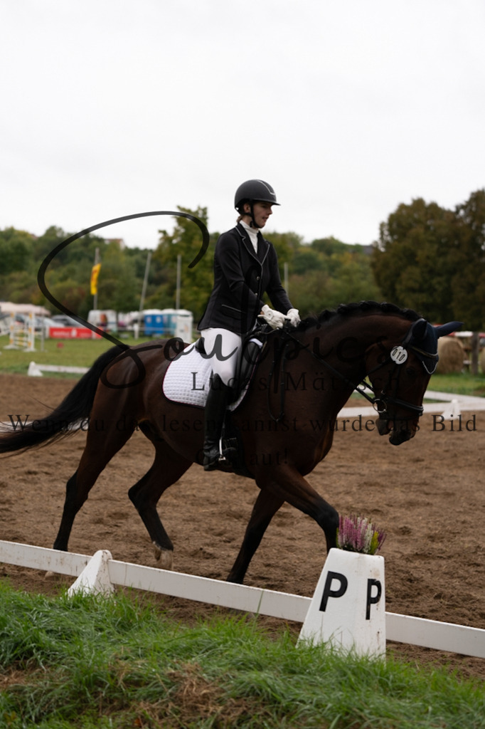 A7V05857 | Pferdefotograf