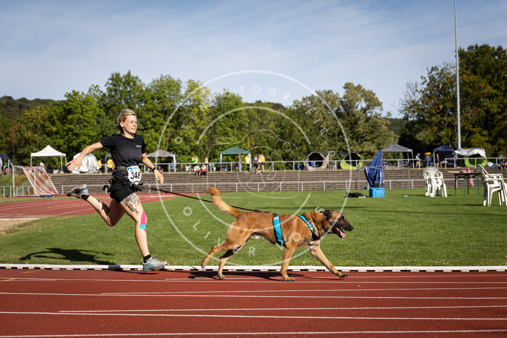 Pfotenfotografie_DV3A8772 | Hundefotografie, Tierfotograf, Pfotenfotografie, Fotoshooting Hund, Hunde Portrait, Hundesport, Hundeportraits, Heideshooting, Hunde, Sportfotograf, Hundefotograf, Turnierhundsport, THS,  - Realisiert mit Pictrs.com