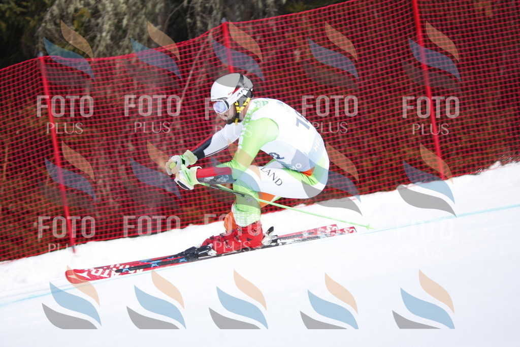 D7732 | holidayphoto