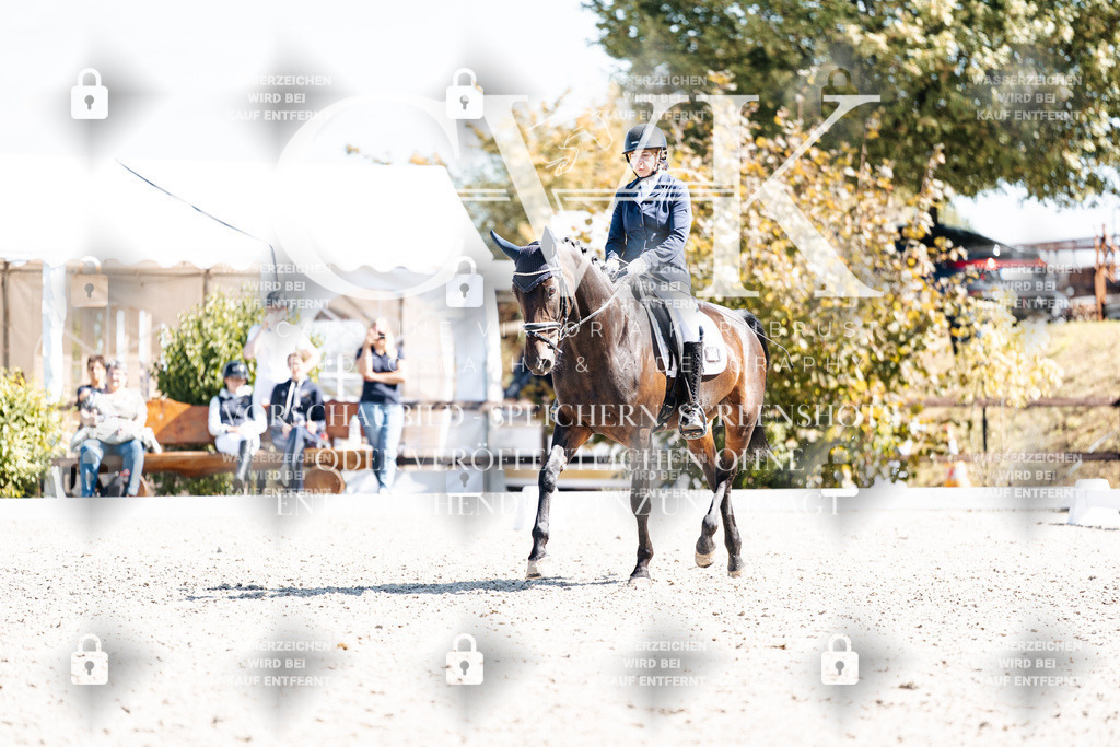 CK903289 | Turnierfotografie Pferdefotografie Trier Rheinland-Pfalz Pferdesport Reitsport Tierfotografie Sportfotografie Pferdevideo Pferdevideografie Equestrianvideography equestrianphotography  - Realisiert mit Pictrs.com