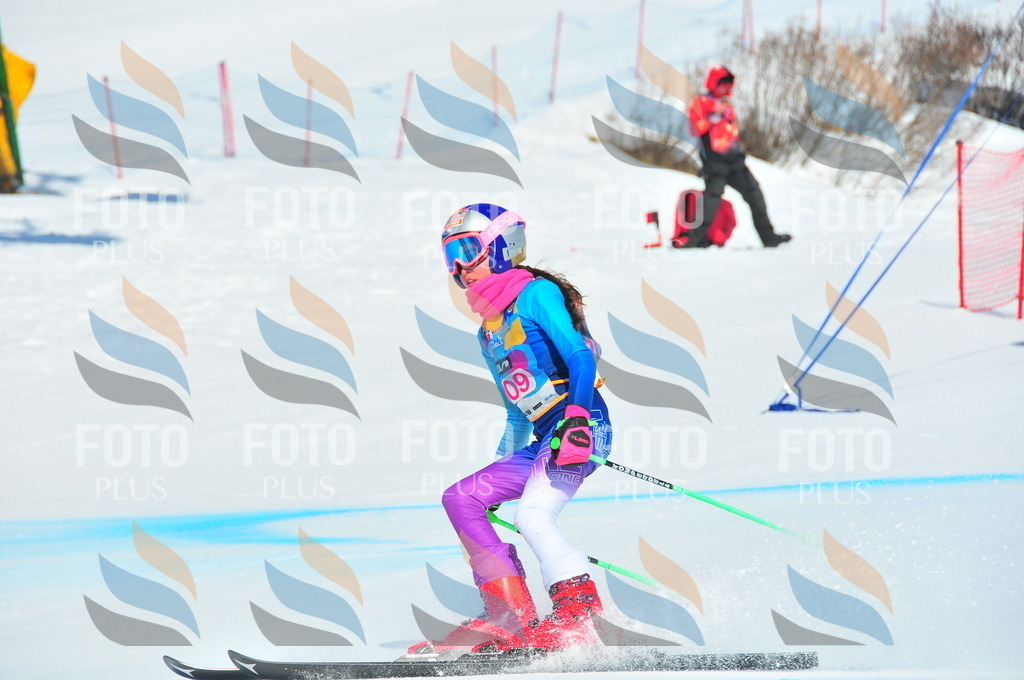 DSC_4667 | holidayphoto