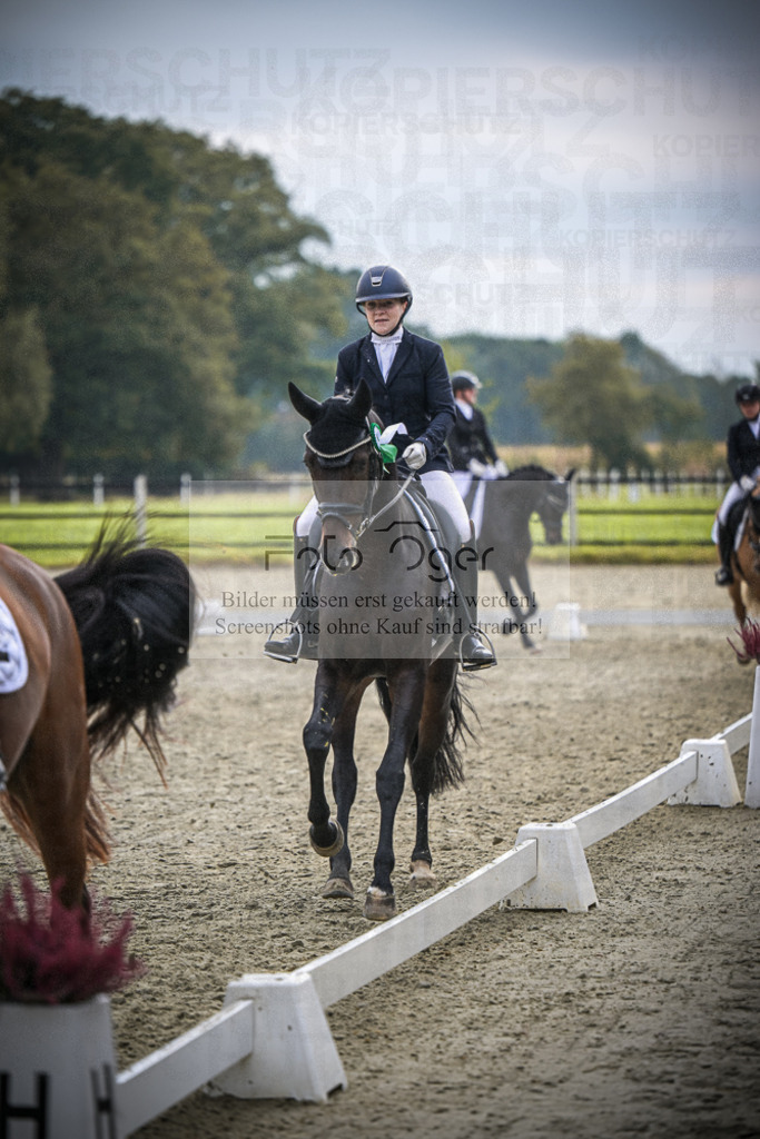 DOS_B316 | Entdecke hochwertige Reitturnierfotos von Foto Oger. Professionell, emotional und authentisch – jetzt Lieblingsmomente im Shop bestellen.Deutschlandweite Turnierfotografie. - Realisiert mit Pictrs.com