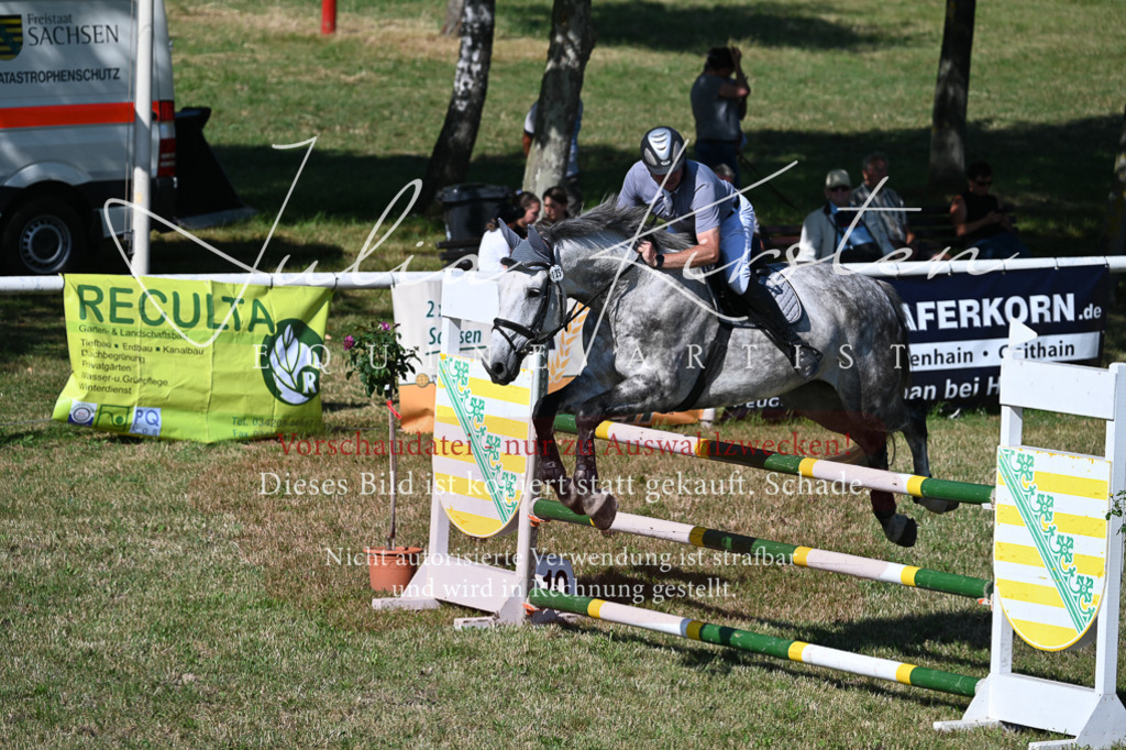 DSC_1984 | Pferde- und Turnierfotografie in Westsachsen. Pferdeportraits, Auftragszeichnungen und intuitive Kunst.