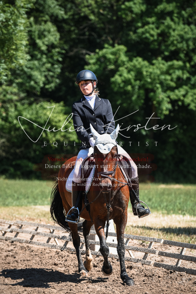 DSC_3045 | Pferde- und Turnierfotografie in Westsachsen. Pferdeportraits, Auftragszeichnungen und intuitive Kunst.