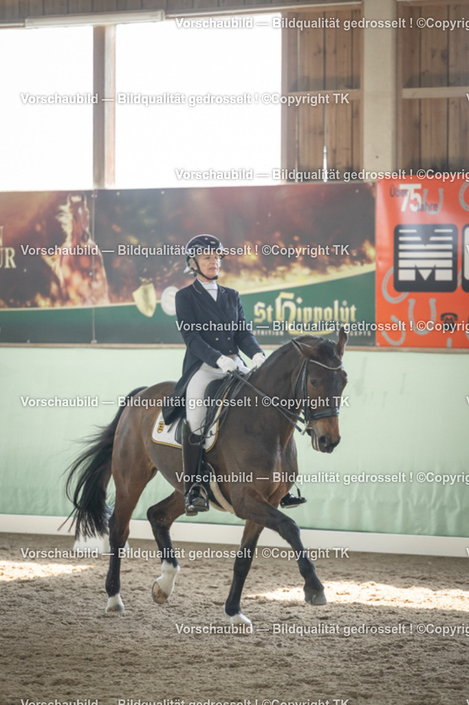 _D5A1502 | Emotionale Pferde- & People-Fotografie rund um Heidelberg, Leimen & Umgebung. Natürliche Fotos von Pferd, Mensch & Familie. Jetzt Termin sichern!