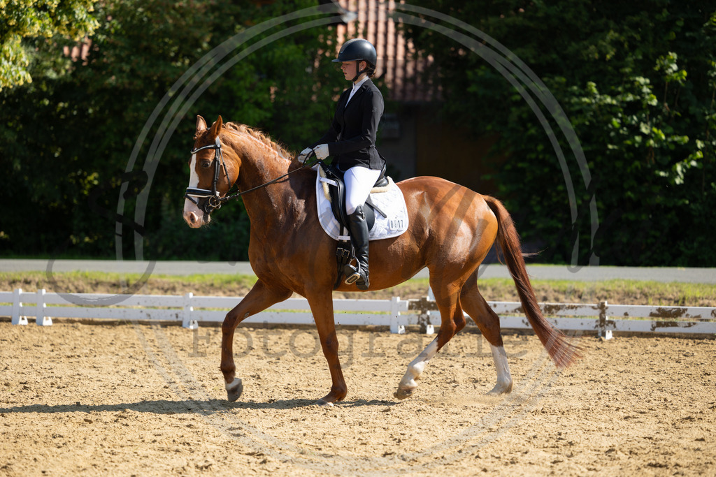 994A3105 | sabrinanicolaifotografie - Realisiert mit Pictrs.com