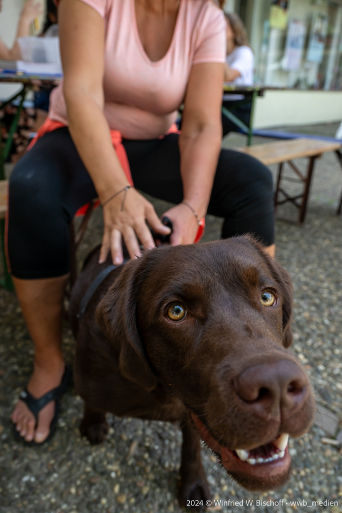 119_DSC_5640 | <Fotografie> <Video> <Film> <Winfried Bischoff> - Realisiert mit Pictrs.com