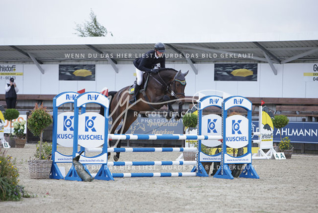 1J2A8200Philipp Battermann-Voss_ Vincent JH_ Kn981_ Havekost | Foto- und Videografie für alles rund ums Pferd. Hochwertige Bilder und Videos vom Spring- und Dressurreiten, Voltigieren & mehr. Jetzt aktuelle Veranstaltungen und Preise im Shop ansehen. - Realisiert mit Pictrs.com