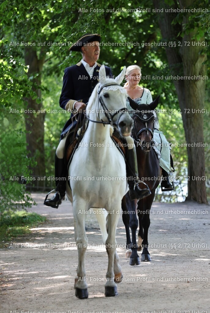 1P5A3731_3 | krollfotografie - Realisiert mit Pictrs.com