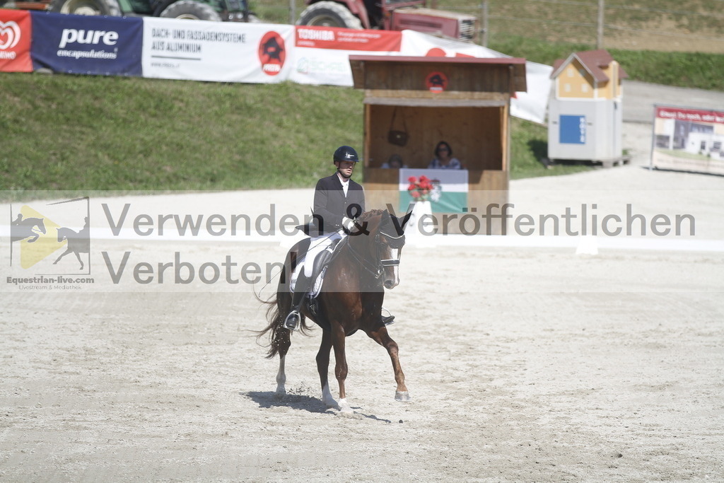 _MG_8482 | equestrian-live-com