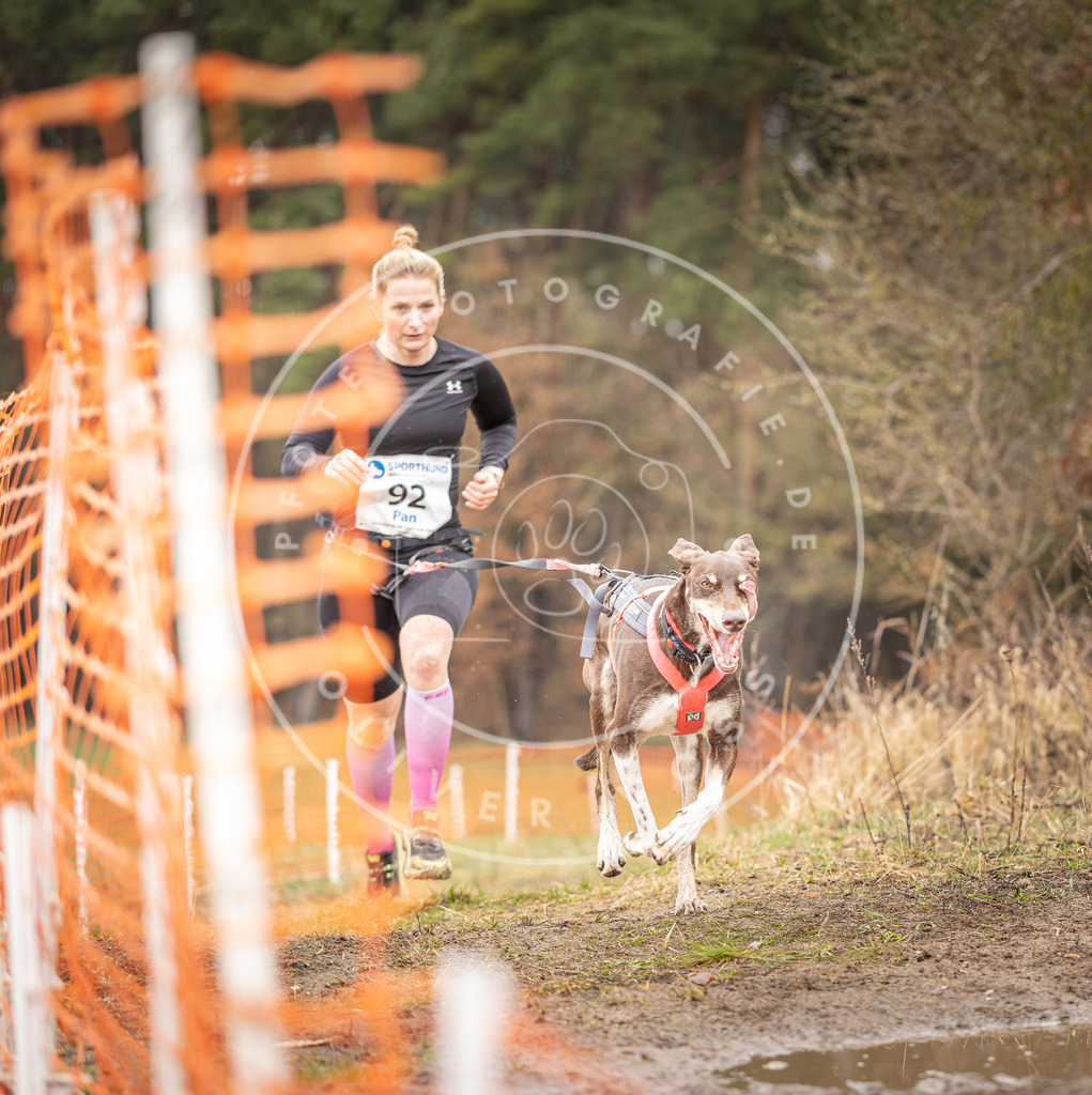 DV3A0423 | Hundefotografie, Tierfotograf, Pfotenfotografie, Fotoshooting Hund, Hunde Portrait, Hundesport, Hundeportraits, Heideshooting, Hunde, Sportfotograf, Hundefotograf, Turnierhundsport, THS,  - Realisiert mit Pictrs.com