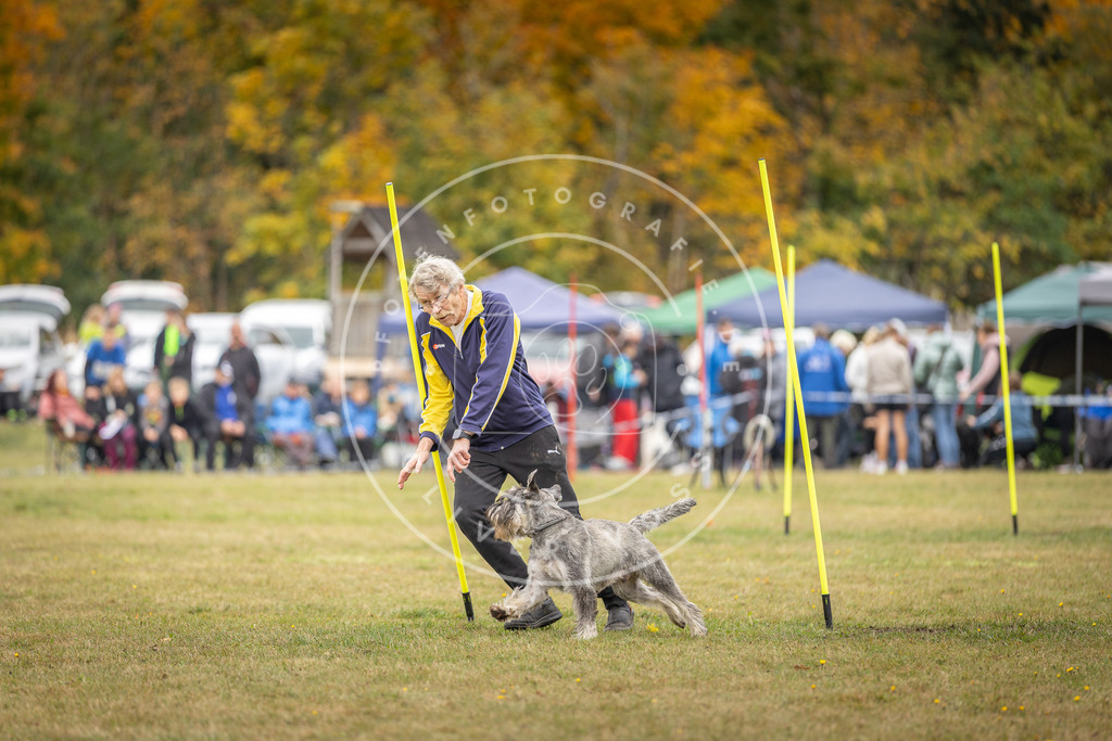 Pfotenfotografie_DV3A5317 | Hundefotografie, Tierfotograf, Pfotenfotografie, Fotoshooting Hund, Hunde Portrait, Hundesport, Hundeportraits, Heideshooting, Hunde, Sportfotograf, Hundefotograf, Turnierhundsport, THS,  - Realisiert mit Pictrs.com