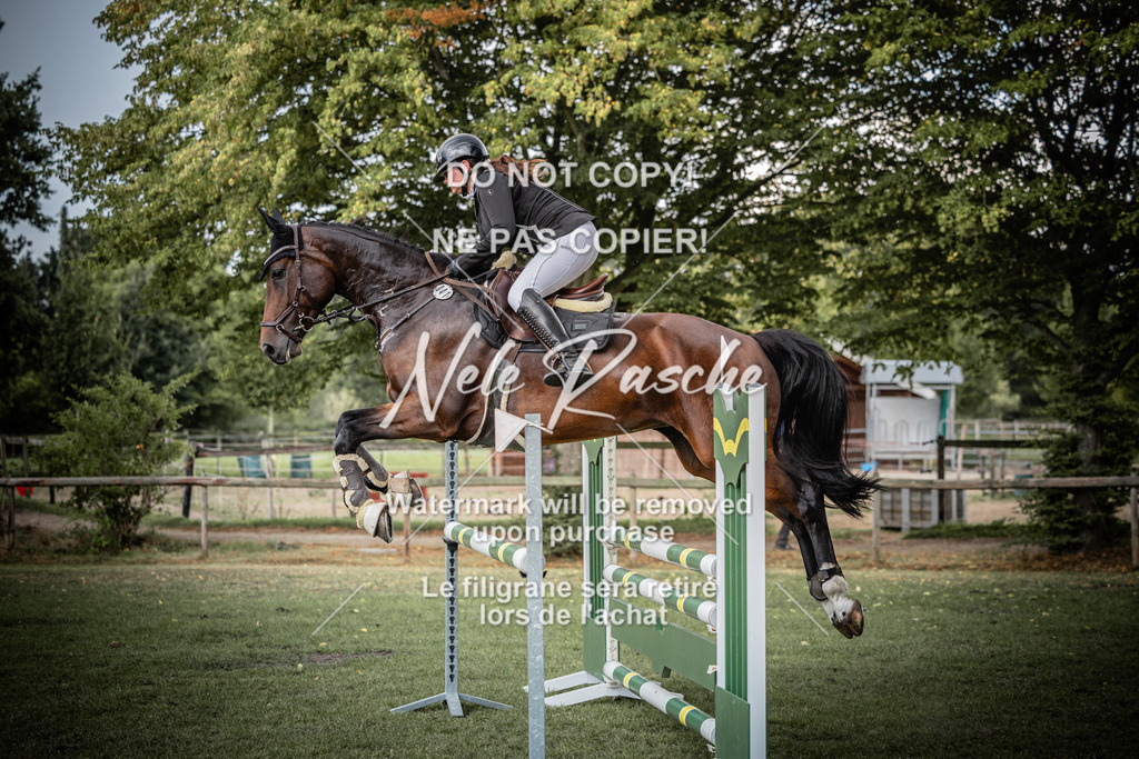 nelerasche_SprA__100Ede_27 | nelerasche