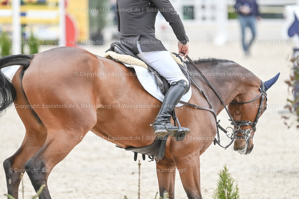 20230514_CCI4_Springen_0094 | equistock
