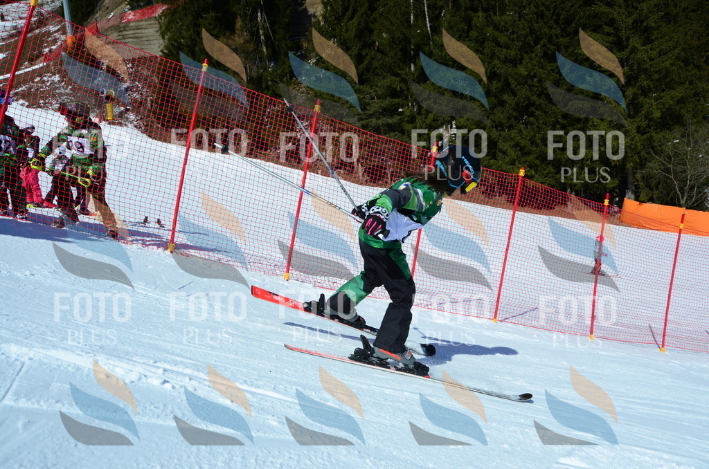 C5433 | holidayphoto