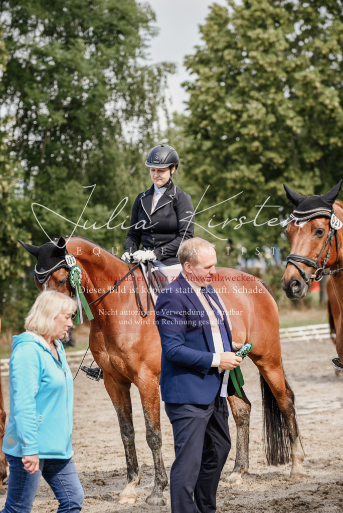 DSC_9366 | Pferde- und Turnierfotografie in Westsachsen. Pferdeportraits, Auftragszeichnungen und intuitive Kunst.