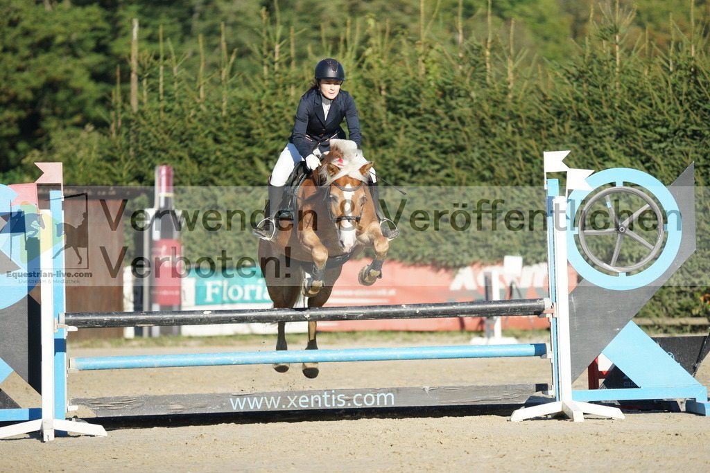 DSC09417 | equestrian-live-com