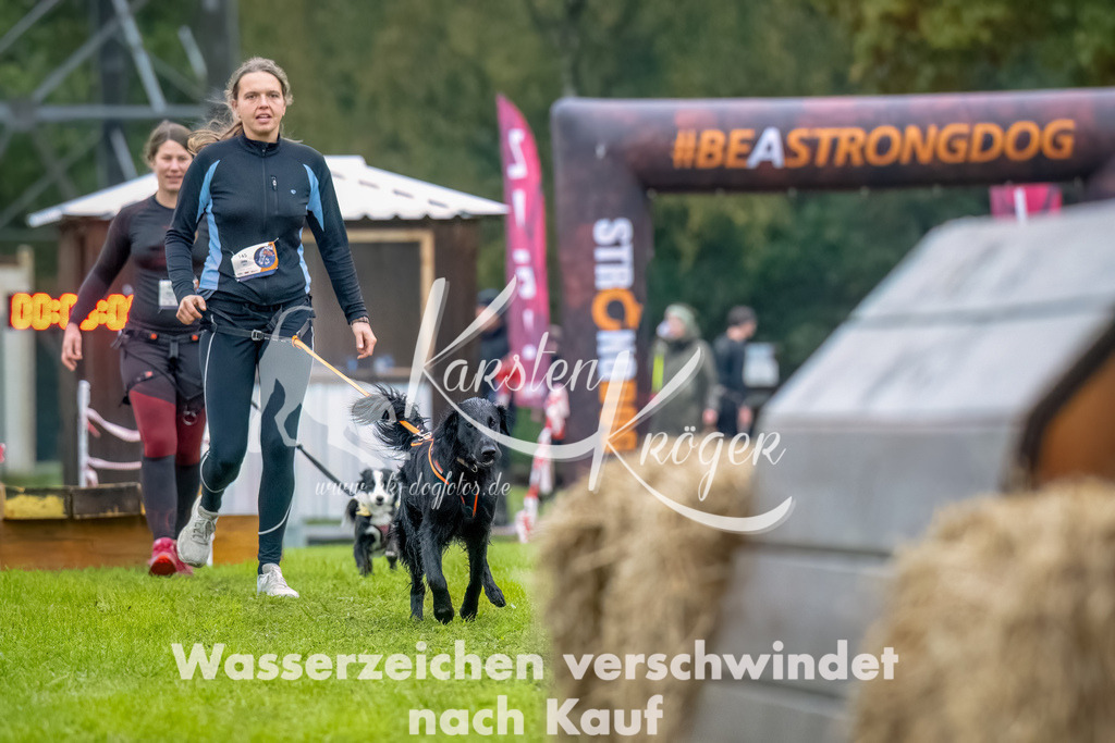 1028--2 | kk-dogfotos