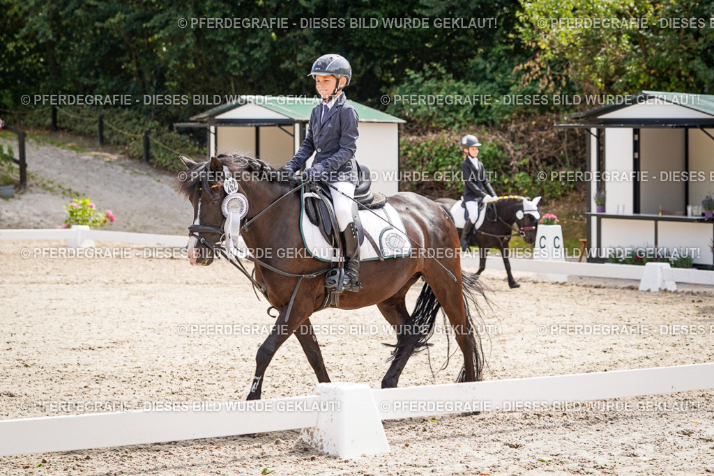 DSC02912 | Pferdegrafie