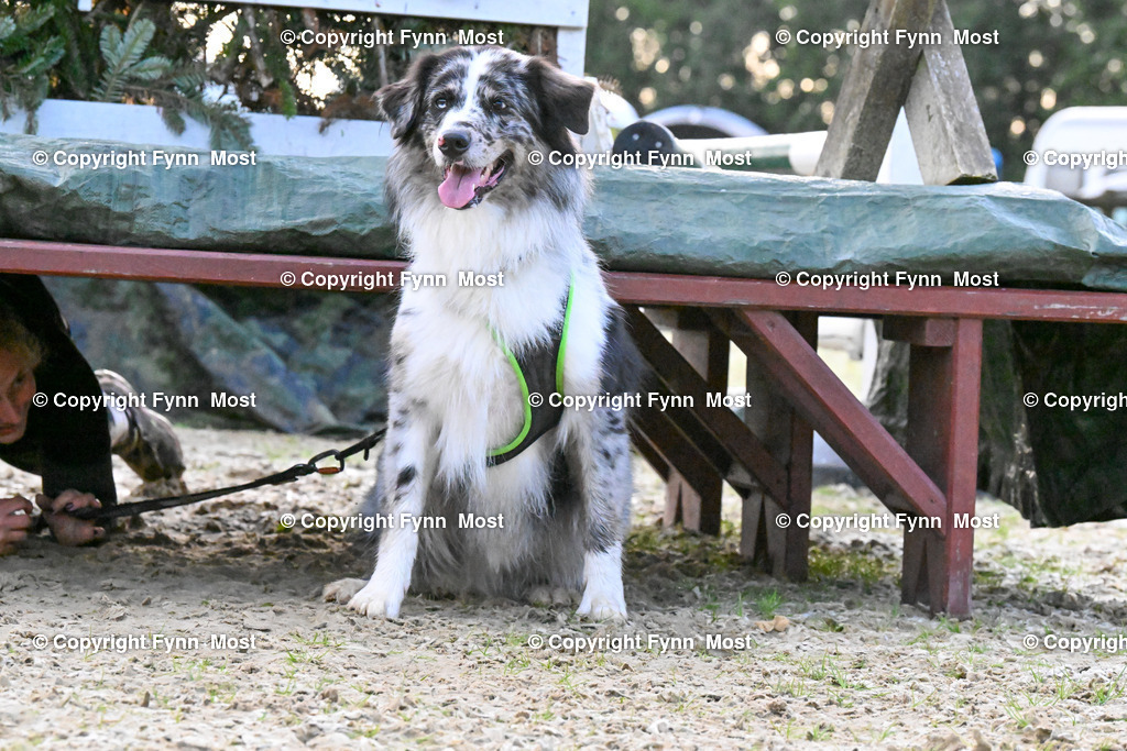 DSC_3264 | Hallo und herzlich Willkommen auf meiner Shop-Seite Fynn Most.

Ich wünsche Dir viel Spaß beim stöbern durch die Bilder, wenn Du Fragen hast oder Bilder vermisst, kannst du mir gerne eine Nachricht schreiben. - Realisiert mit Pictrs.com