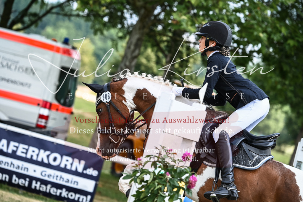 DSC_8553 | Pferde- und Turnierfotografie in Westsachsen. Pferdeportraits, Auftragszeichnungen und intuitive Kunst.
