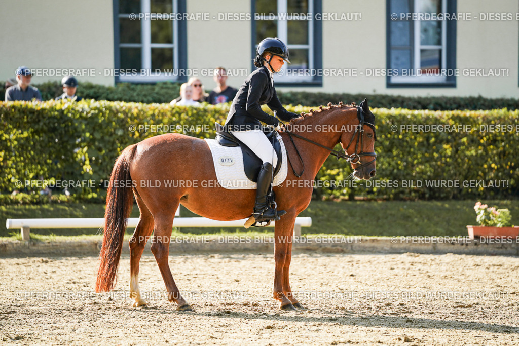 DSC06184 | Pferdegrafie