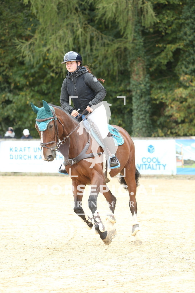 DL2Q6434 | Willkommen bei Brunnmayr - Design & Fotografie – Ihrem Spezialisten für Reitturniere und Pferdeveranstaltungen in Oberösterreich, Salzburg und Bayern! Seit über 17 Jahren sind wir leidenschaftlich dabei.