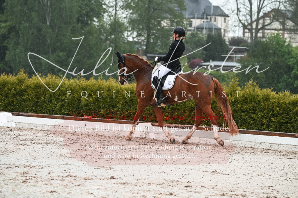 DSC_4606 | Pferde- und Turnierfotografie in Westsachsen. Pferdeportraits, Auftragszeichnungen und intuitive Kunst.