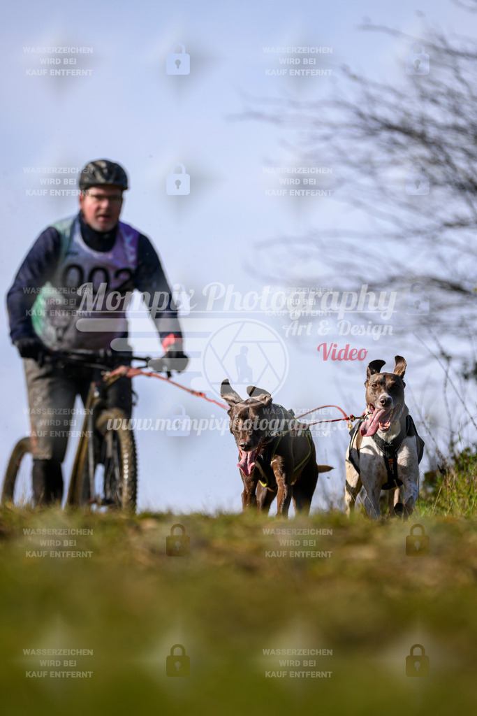 MompixPhotography_2OATB_SO_Scooter-2 | PayLife