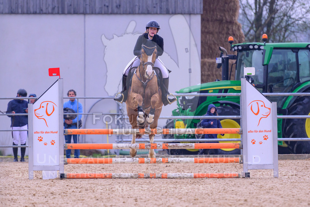 12042026-Mammendorf-Prfg37-0453 | Fokus Hufschlag Fotografie - Realisiert mit Pictrs.com