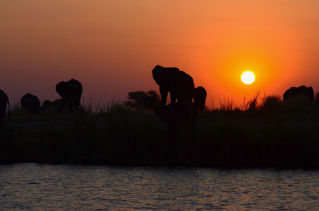 DSC_2928 | Ich fotografiere aus Leidenschaft auf meinen Reisen und im Rhein- / Ruhrgebiet , Landschaften, Tiere und Porträts. 

Kaufen Sie die Bilder (u.a. Venedig, Südtirol, Galapagos, Düsseldorf, Indien, Blumen etc.) in einer geschützten Galerie bequem online. - Realisiert mit Pictrs.com