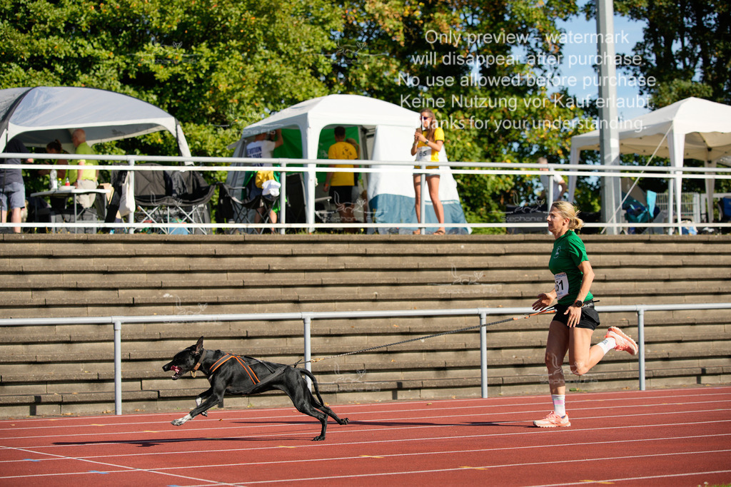 Sonntag_Staffel (141 von 336) | stephaniefillaphotographie - Realisiert mit Pictrs.com