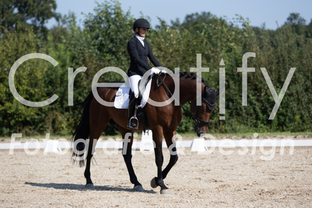 IMG_5399 | Creatify Fotografie