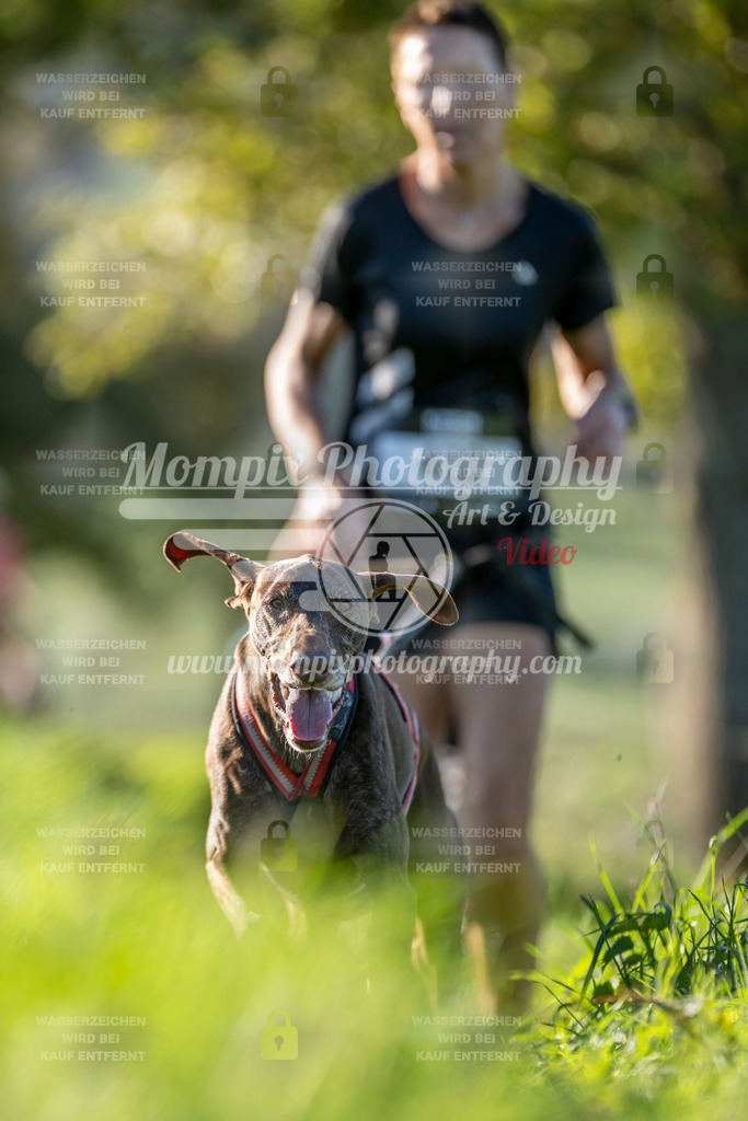 MompixPhotography_20TSB_E3_Run-29 | PayLife