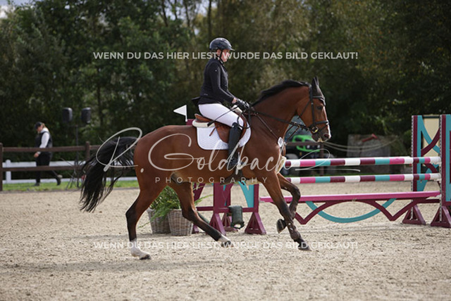 1J2A2473Paula de Boer-Schwarz_ Varello H_ Kn969_ Havekost | Foto- und Videografie für alles rund ums Pferd. Hochwertige Bilder und Videos vom Spring- und Dressurreiten, Voltigieren & mehr. Jetzt aktuelle Veranstaltungen und Preise im Shop ansehen. - Realisiert mit Pictrs.com