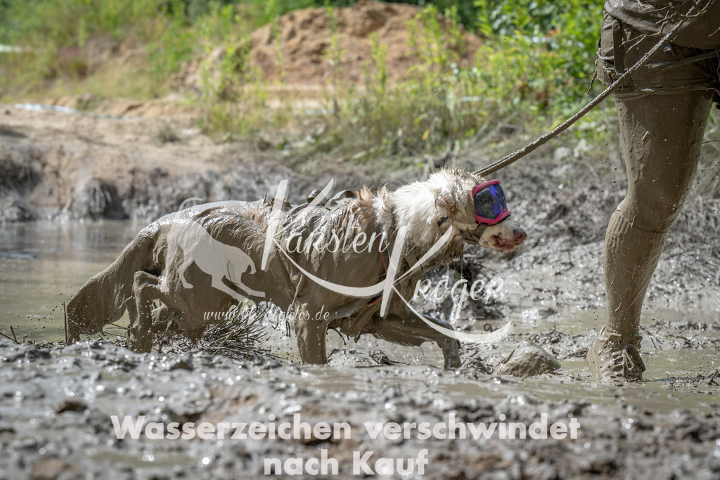 1059_ZZ90960 | kk-dogfotos