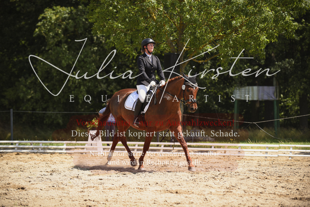 DSC_1303 | Pferde- und Turnierfotografie in Westsachsen. Pferdeportraits, Auftragszeichnungen und intuitive Kunst.