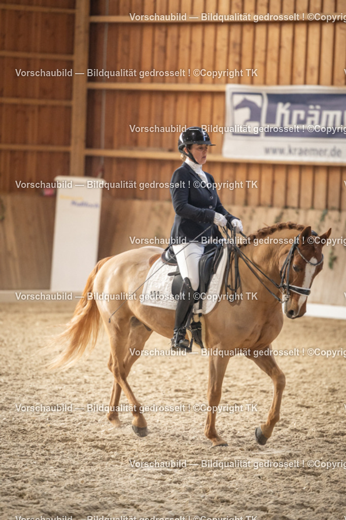 _D5A6404 | Emotionale Pferde- & People-Fotografie rund um Heidelberg, Leimen & Umgebung. Natürliche Fotos von Pferd, Mensch & Familie. Jetzt Termin sichern!