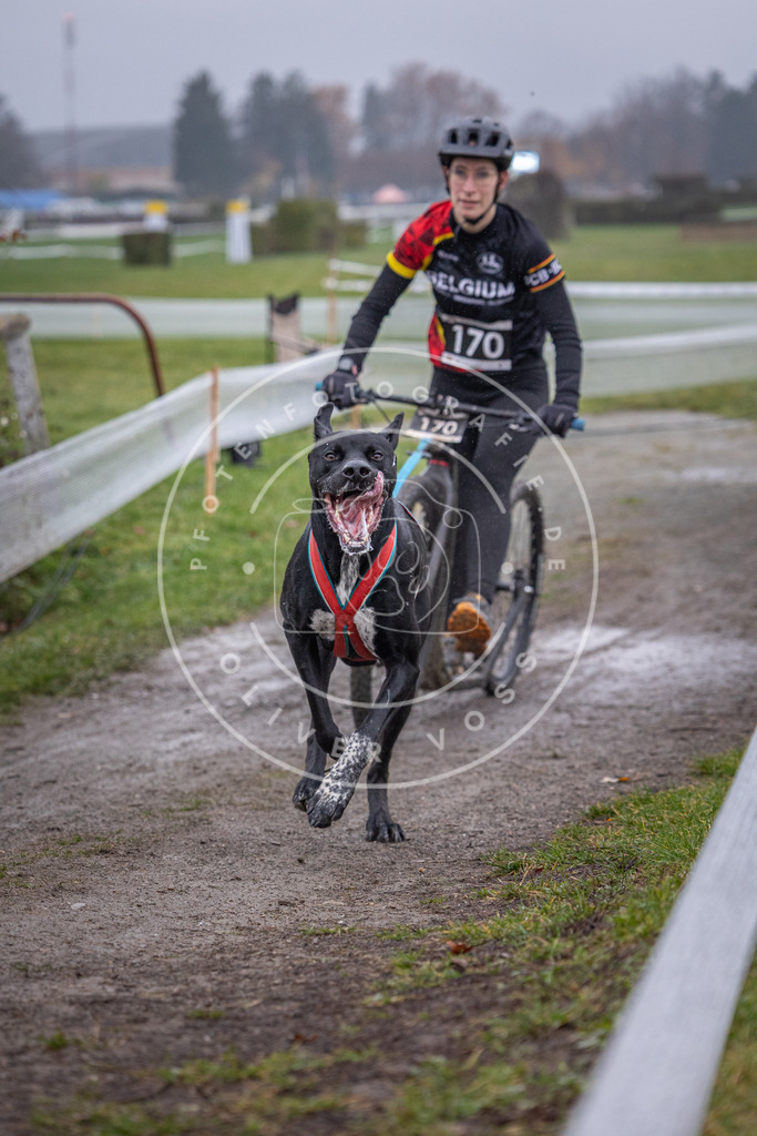 CaniXpix_0L8A0702 | Hundefotografie, Tierfotograf, Pfotenfotografie, Fotoshooting Hund, Hunde Portrait, Hundesport, Hundeportraits, Heideshooting, Hunde, Sportfotograf, Hundefotograf, Turnierhundsport, THS,  - Realisiert mit Pictrs.com