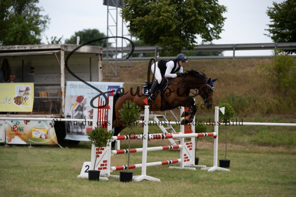 A7V01325 | Pferdefotograf