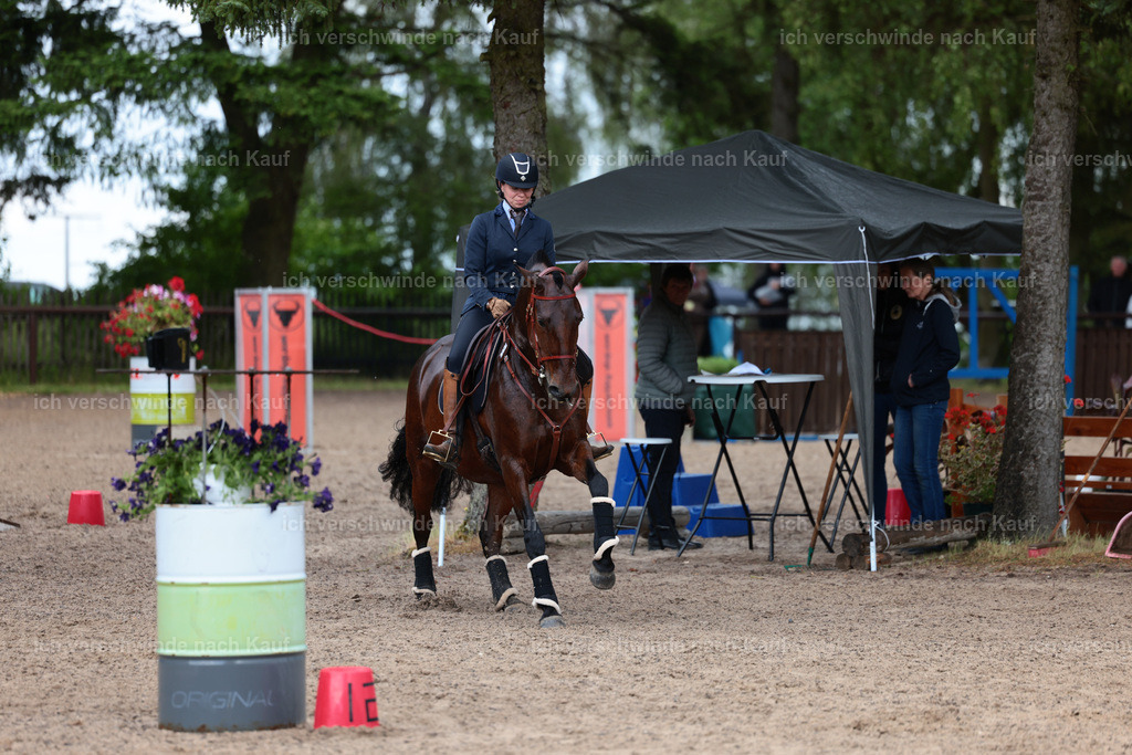 KlasseL_Stoibphotography_CAM23316.JPG | working equitationturnier fotograf videograf stoibphotography marixx film working equitation deutschland reitsport turnierfotografie eventfotografie equestrian events