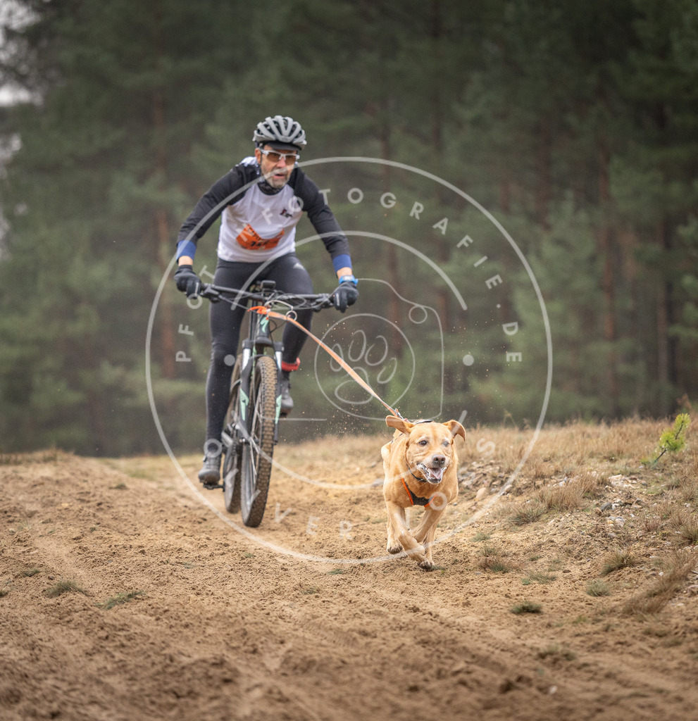 Pfotenfotografie_DV3A3982 | Hundefotografie, Tierfotograf, Pfotenfotografie, Fotoshooting Hund, Hunde Portrait, Hundesport, Hundeportraits, Heideshooting, Hunde, Sportfotograf, Hundefotograf, Turnierhundsport, THS,  - Realisiert mit Pictrs.com