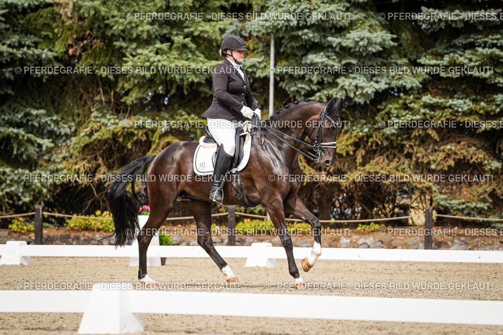 DSC05604 | Pferdegrafie