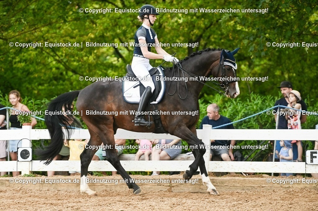 20230716_01_Dressurprüfung Kl.M_0501 | equistock