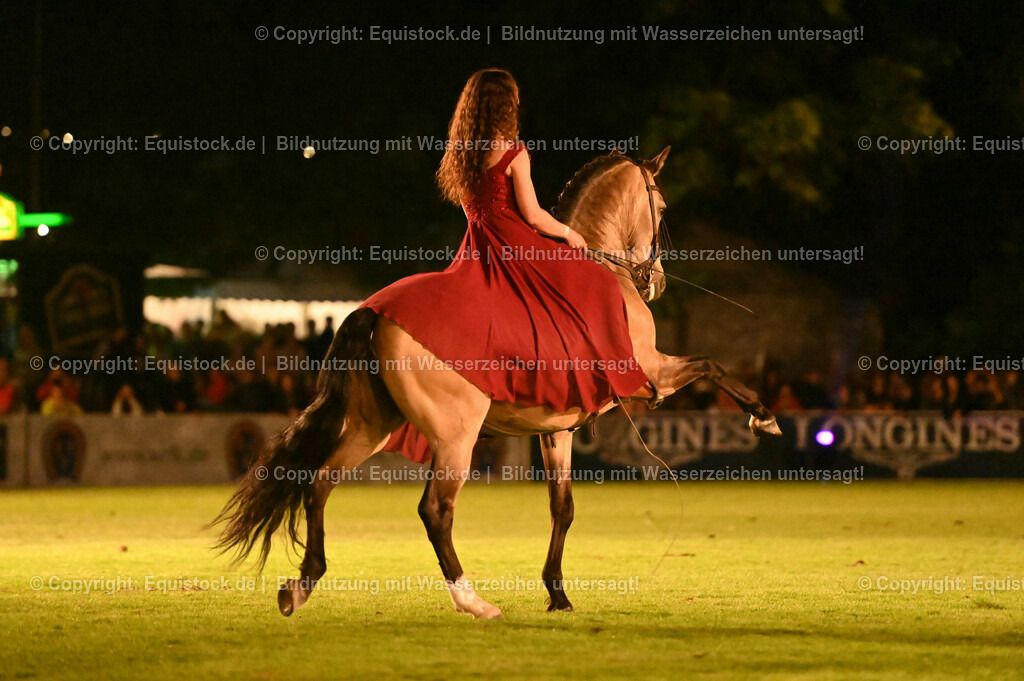 20230526_Pferdenacht_1378 | equistock
